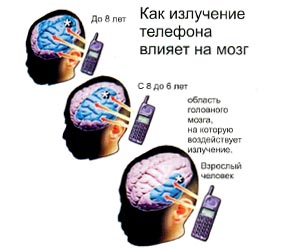 Как излучение телефона влияет на мозг человека